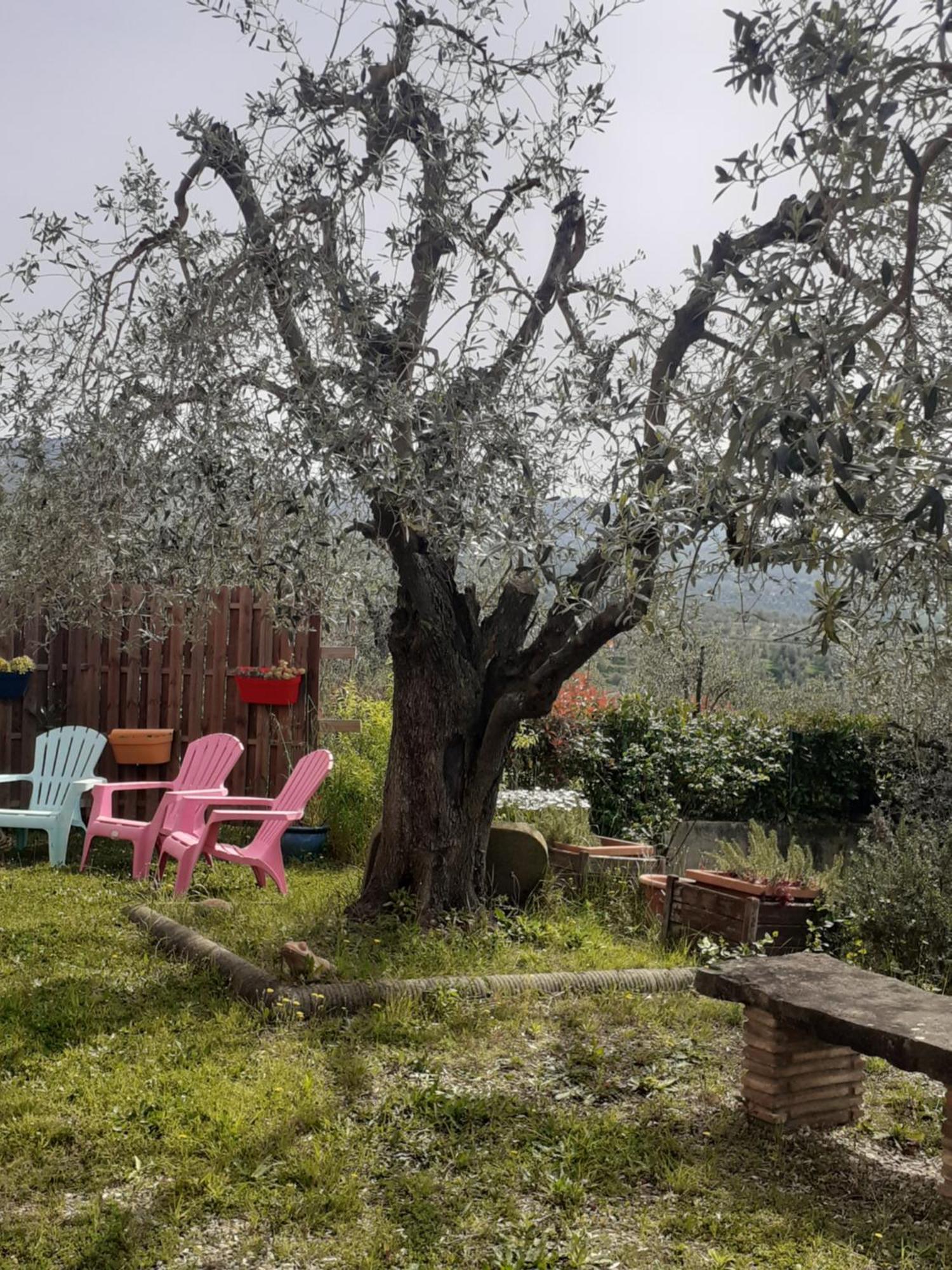Agriturismo Podere Zollaio Vinci Exterior photo
